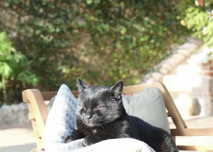 Domaine Saint Clair - Le Donjon