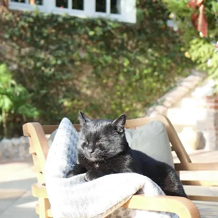 Domaine Saint Clair - Le Donjon